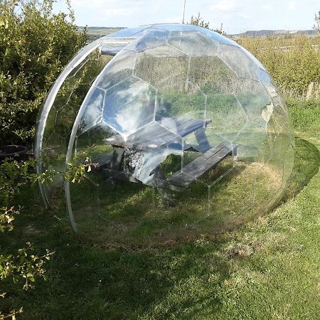Villa The Rainbow Pod à Milltown Malbay Extérieur photo